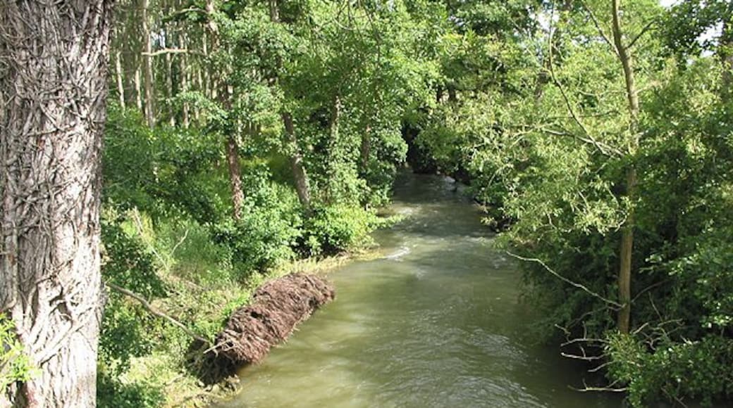 River Evenlode running downstream nr Charlbury
