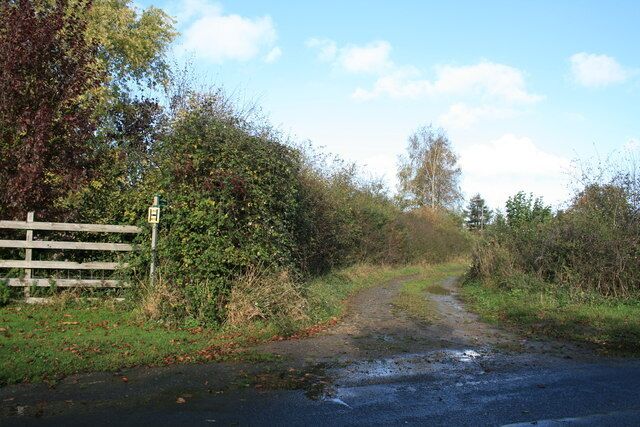 A rural road with a wooden gate, surrounded by vegetation and trees.