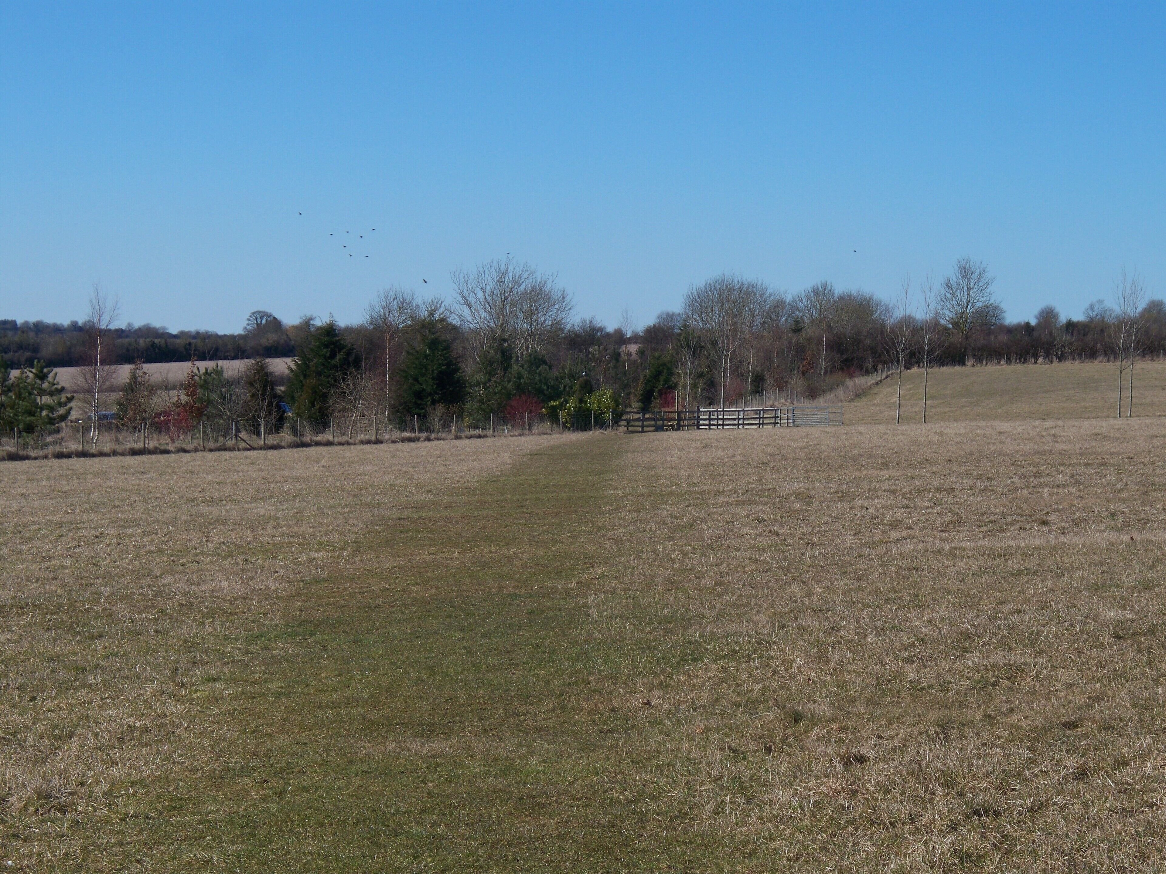 Across the field The footpath from Church Enstone to Lidstone heads straight across the field towards the A44 road.