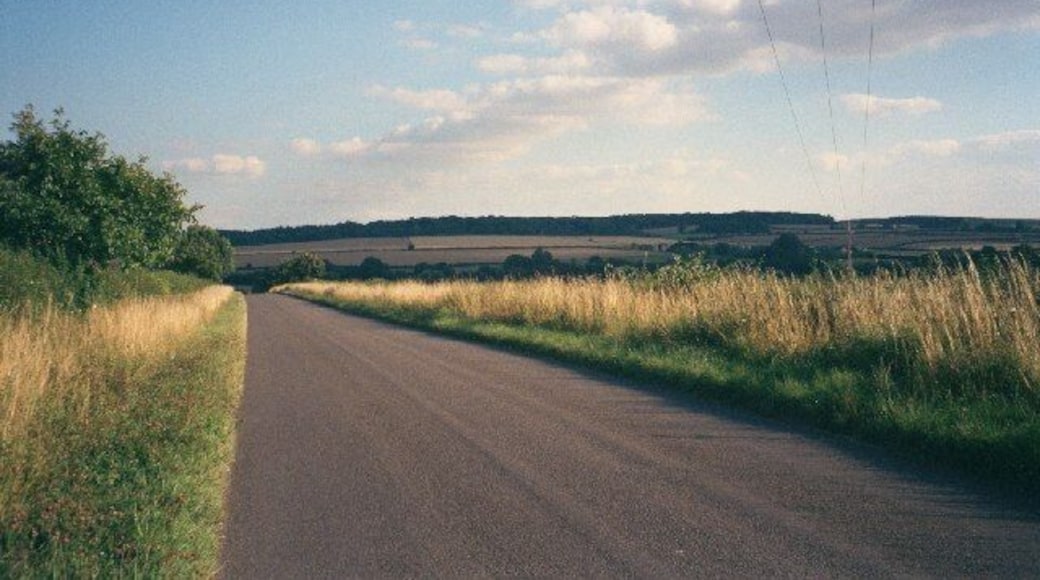 Catsham Lane. The road goes from Chadlington to the B4437, crossing the Evenlode river and the Cotswold railway line. This image faces south, with Wychwood Forest on the skyline.