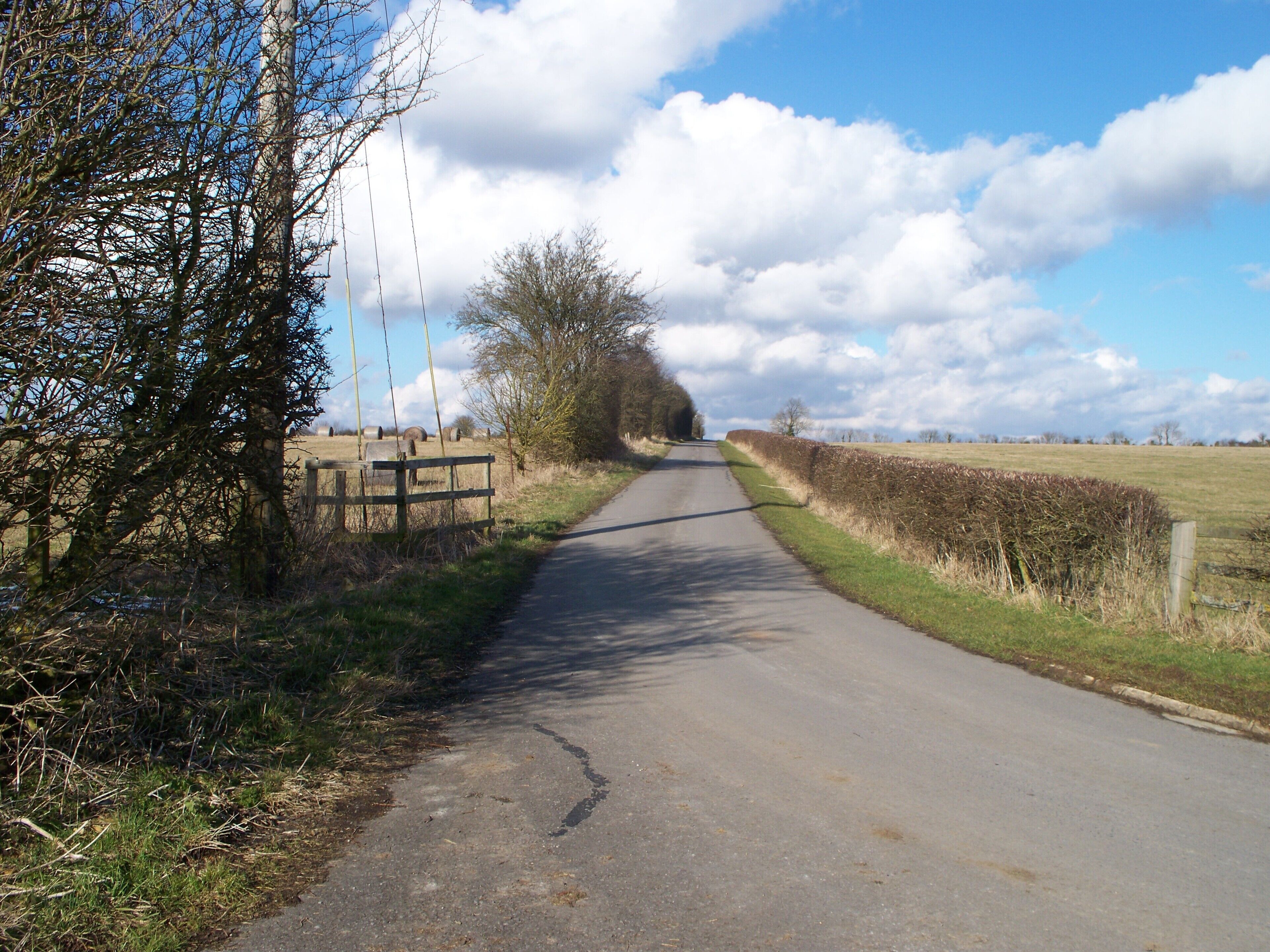 A rural road flanked by stone walls and trees, leading into the distance.