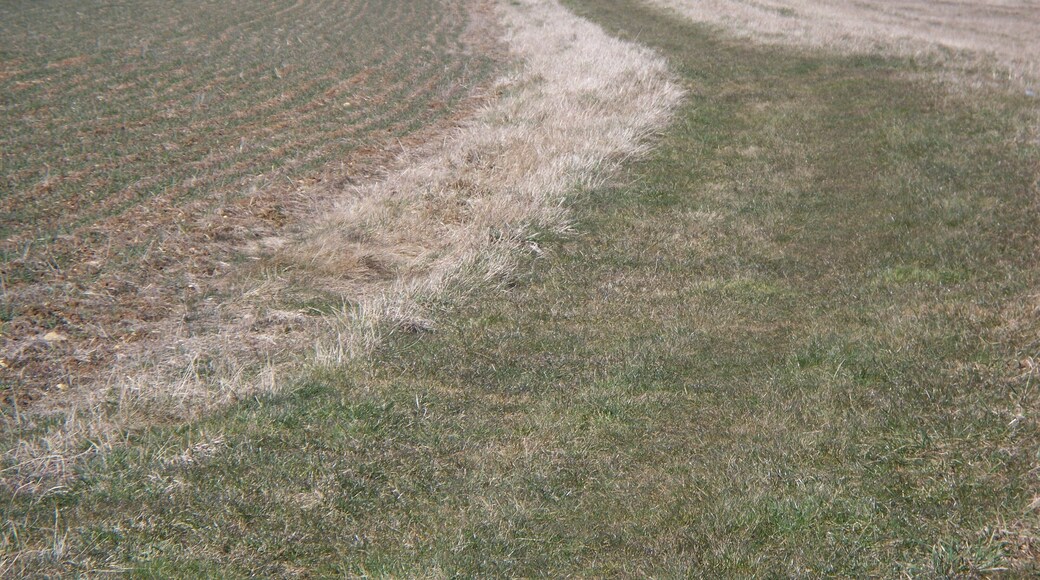 Bridleway to Southcoombe The bridleway from Enstone crosses the footpath and heads towards Southcoombe. The buildings in the left distance are Manor Farm.