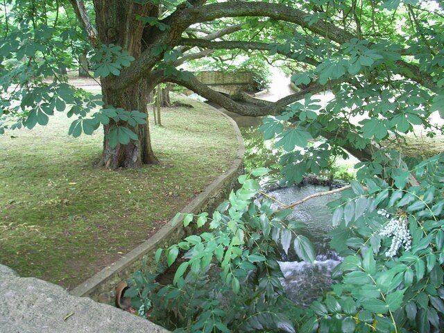 River Dorn flowing beneath trees at Middle Barton, Oxfordshire