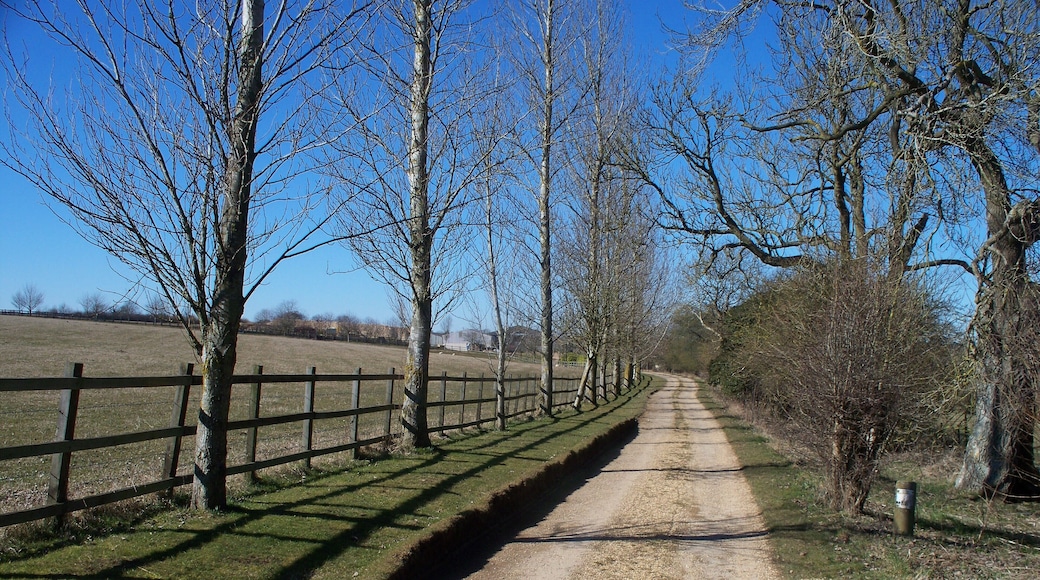 Driveway to Stone Farm The driveway is also a public footpath.
