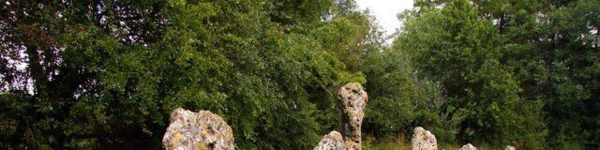 A path lined with large, irregularly shaped rocks.