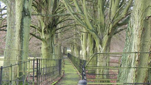 Avenued footpath linking the manor house and parish church at Cornwell, Oxfordshire