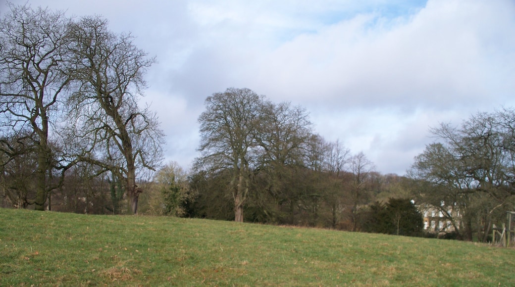 Footpath to Churchill From the front gate to Cornwell Manor, the footpath leads across the parkland on its way to Churchill. This view is looking north west with the manor visible to the right.