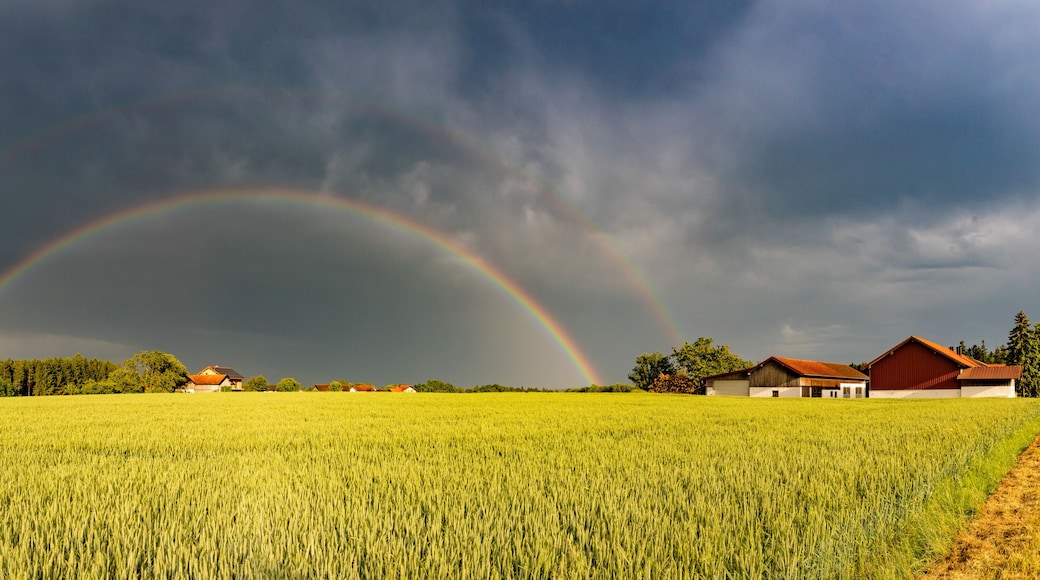 Ein Feld mit Regenbogen, einem Bauernhaus und einer Scheune.