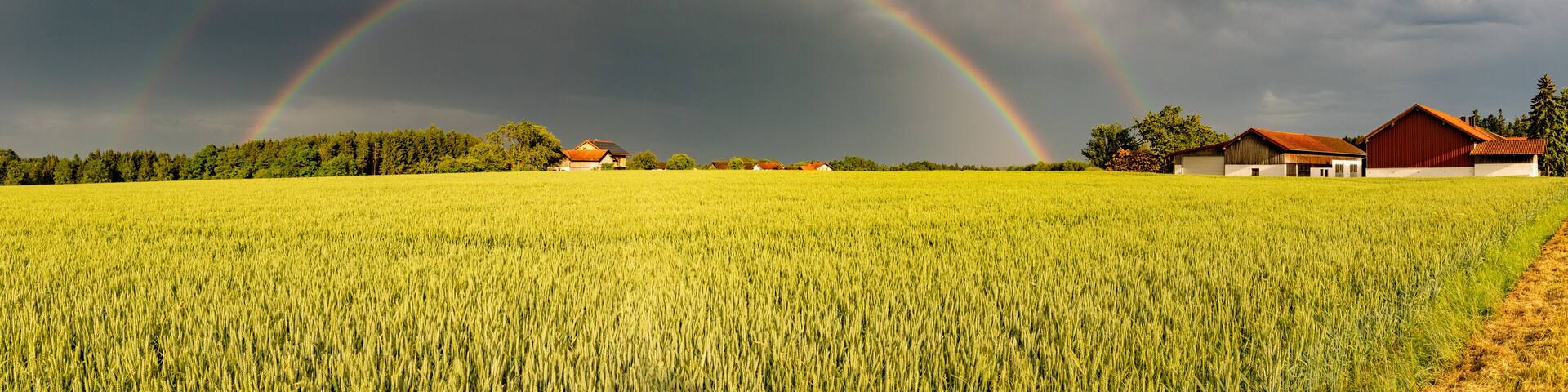 A field with a rainbow, a farmhouse, and a barn.