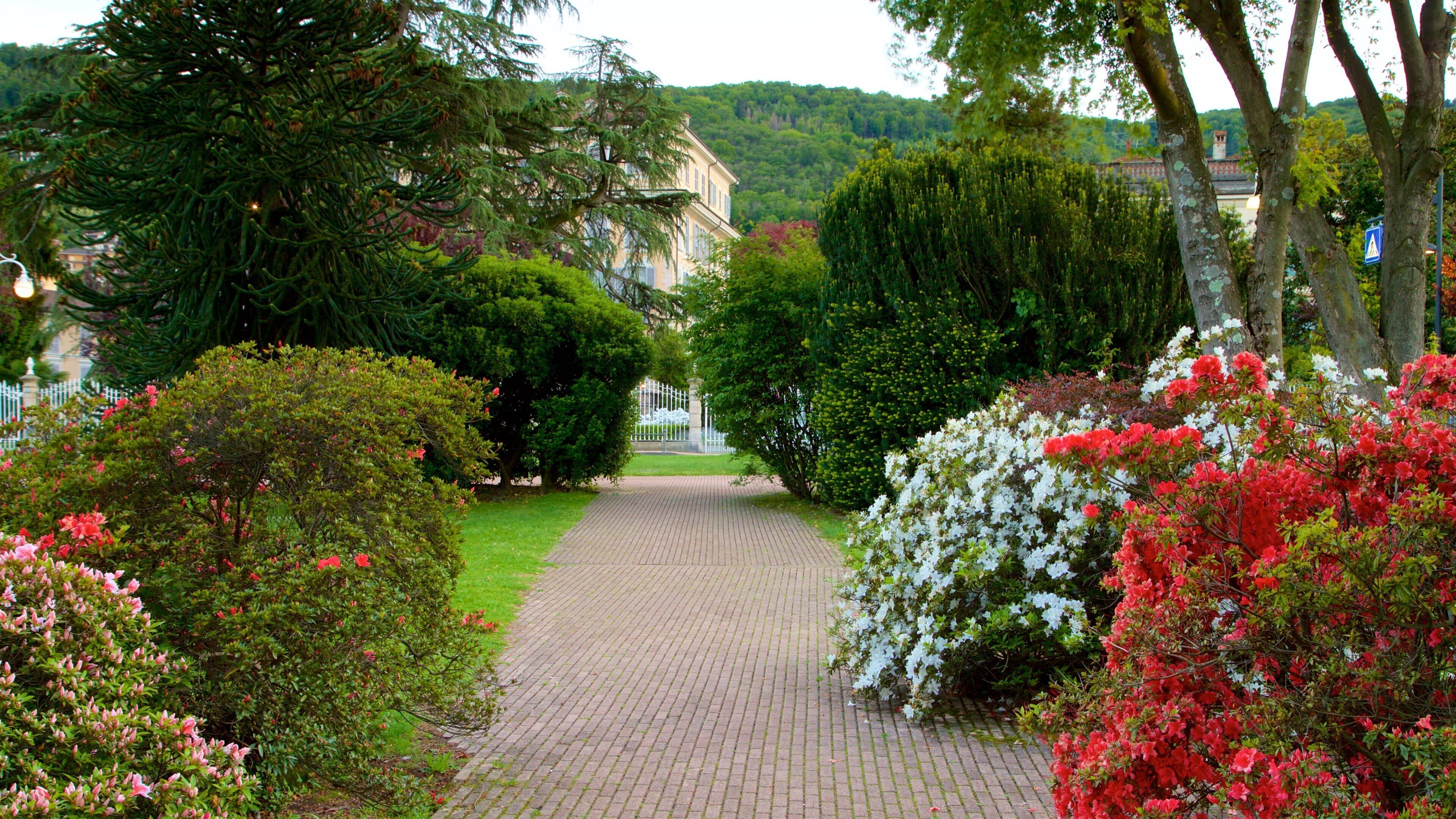 Stresa inclusief wilde bloemen en een park