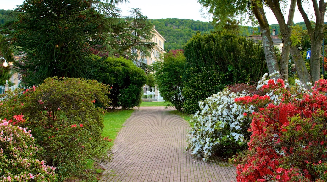 Stresa inclusief wilde bloemen en een park