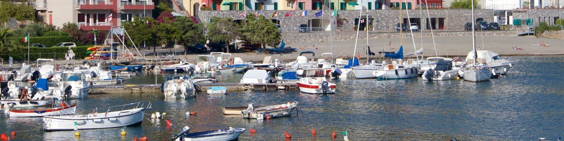 Cinque Terre featuring a coastal town, a bay or harbor and general coastal views