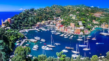 A coastal town with colorful buildings, a marina with numerous boats, and a backdrop of mountains.