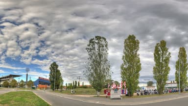 Stadio Giglio - Reggio Emilia, Italy - September 26, 2010