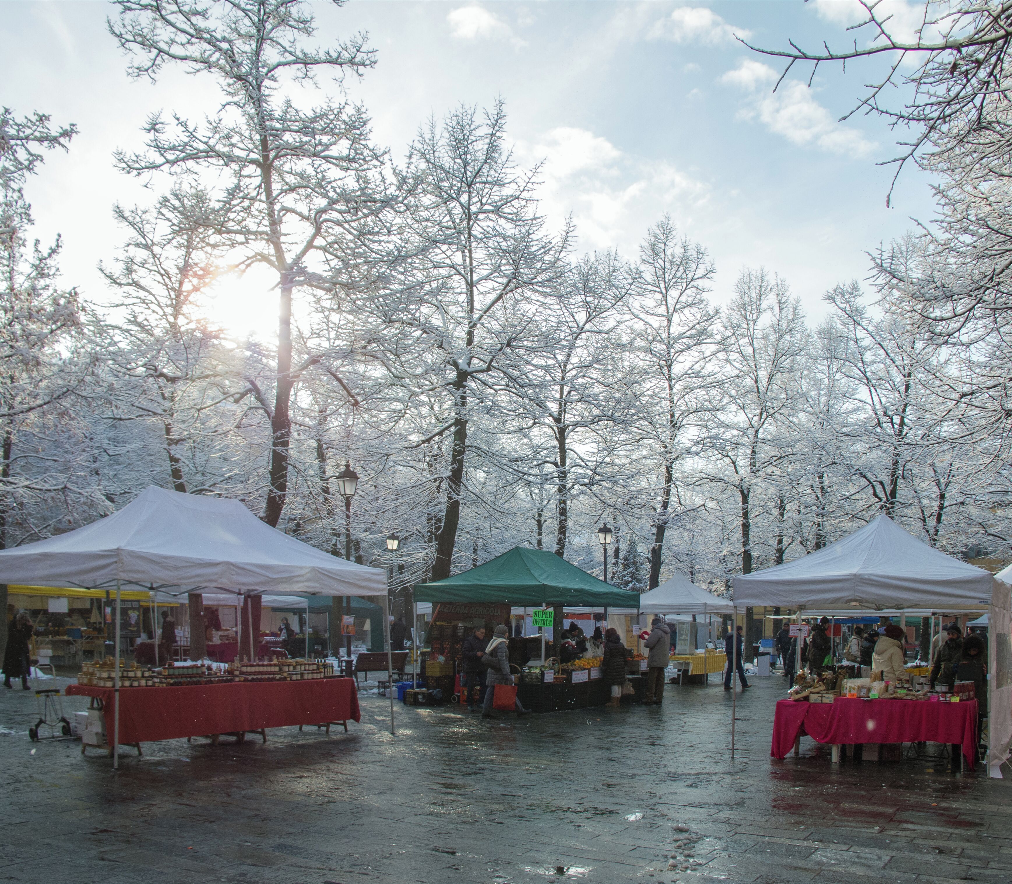 Piazza Fontanesi - Reggio Emilia, Italy - December 8, 2012