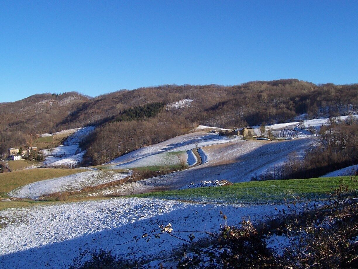 Pastoral scene, driving south of Reggio Emilia, heading toward Florence.