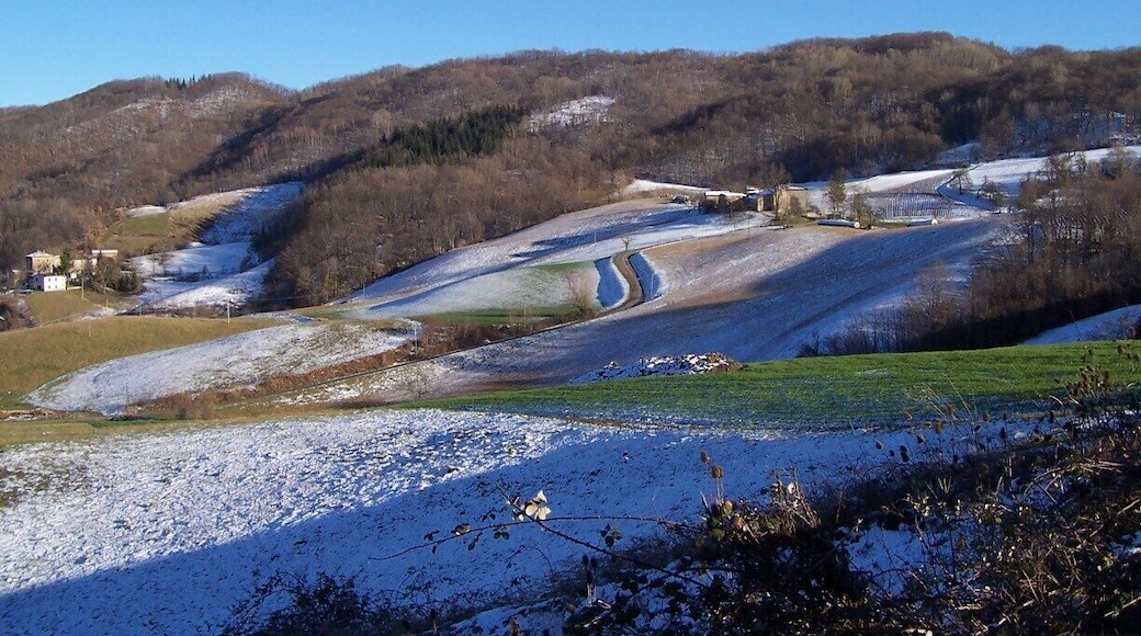 Pastoral scene, driving south of Reggio Emilia, heading toward Florence.