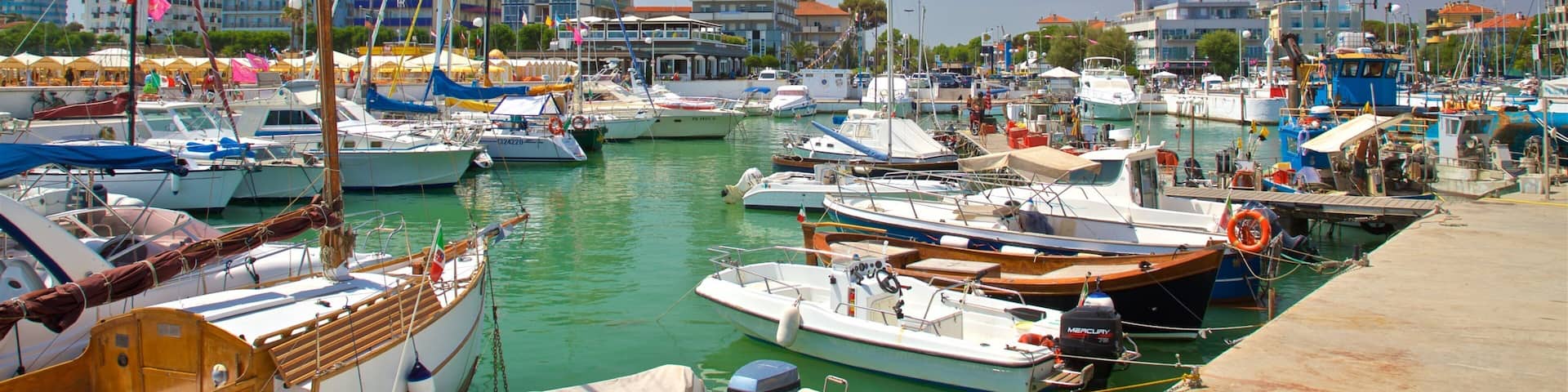 Riccione featuring a bay or harbor