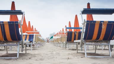 A beach with rows of beach chairs and orange umbrellas.