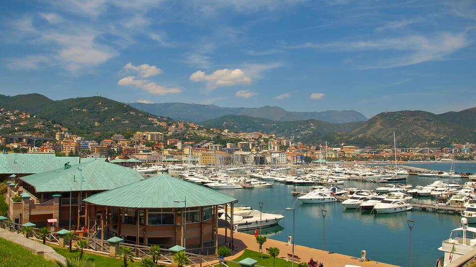 A marina with boats, a building with a green roof, and a hillside town in the background.