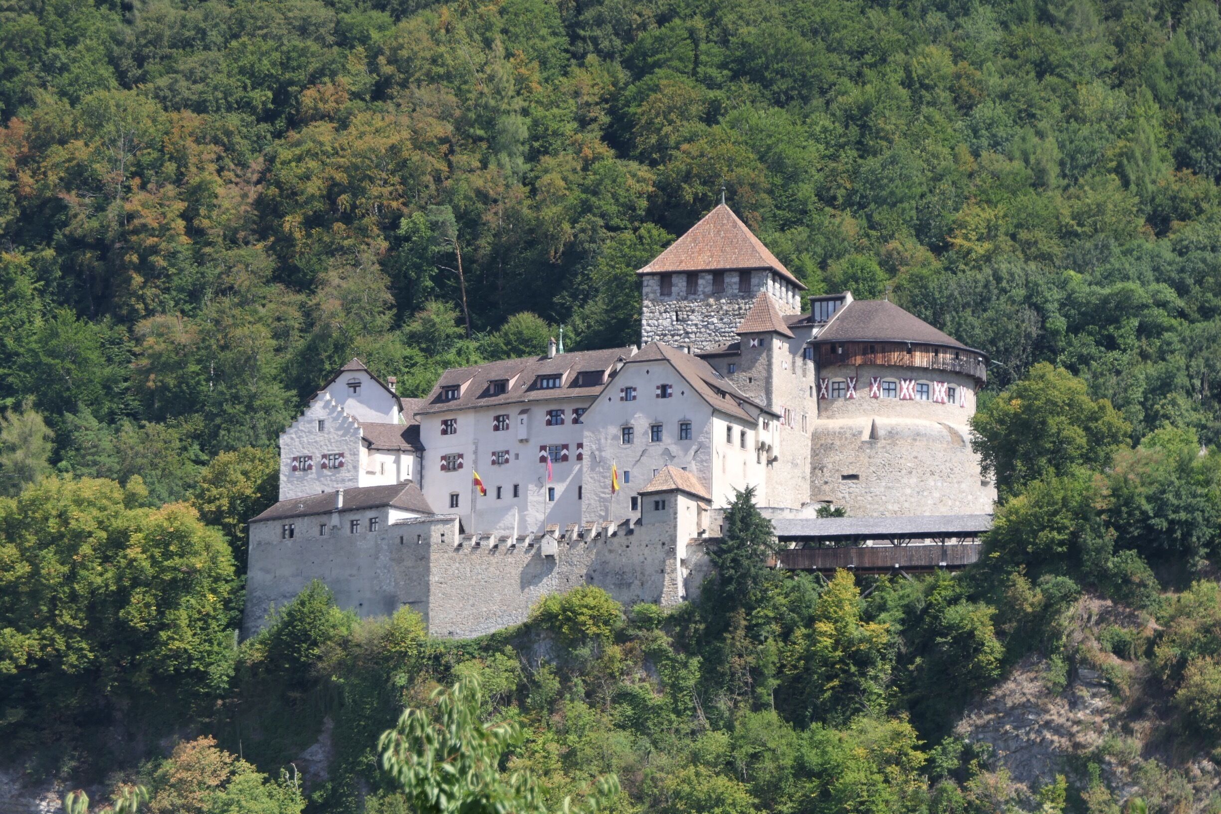 A castle surrounded by dense forest.