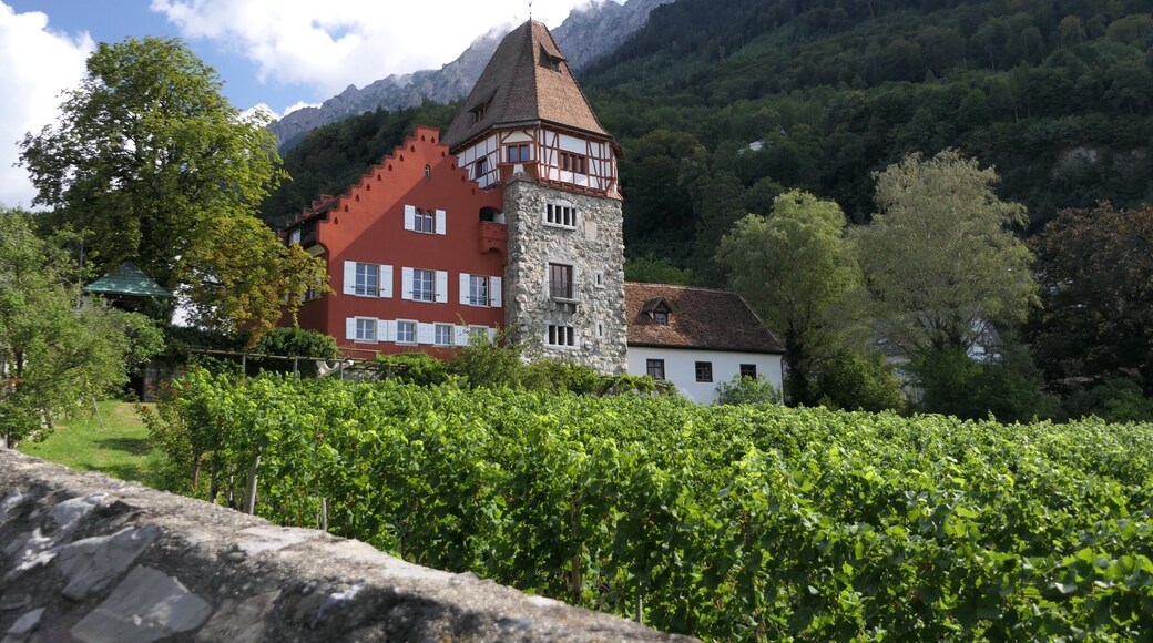 A double rainbow. As I went further I'm sure I saw the end of the rainbow- no pot of gold though!