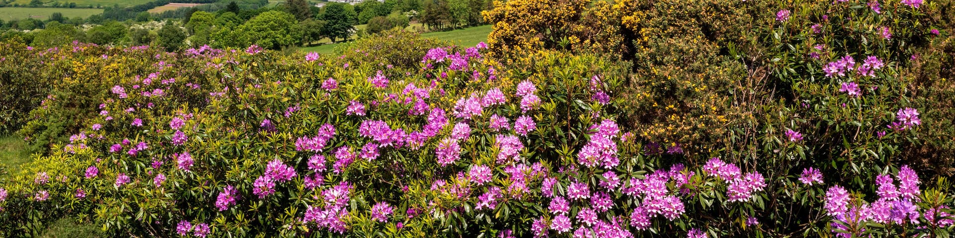 View from the hill to the town below