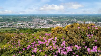 View from the hill to the town below