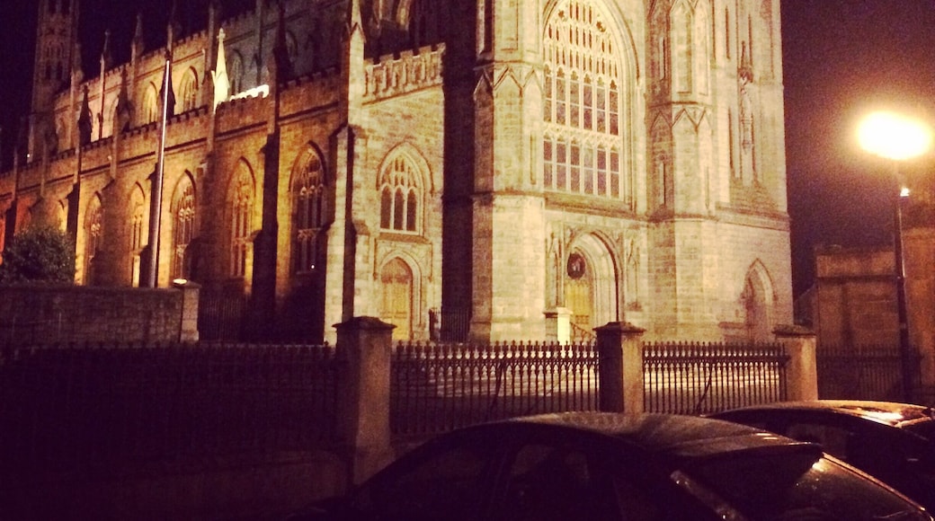 St Patrick's cathedral. Dundalk, Ireland.