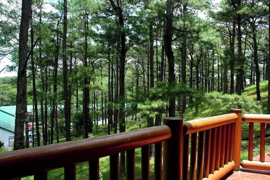 I spent my childhood summers here in this Pine filled Mountain scape called Baguio City. Taken standing from the Manor, @ Camp John Hay. The Green roof seen behind the trees is where my cousins and I would head to play bowling and eat ice cream. #green