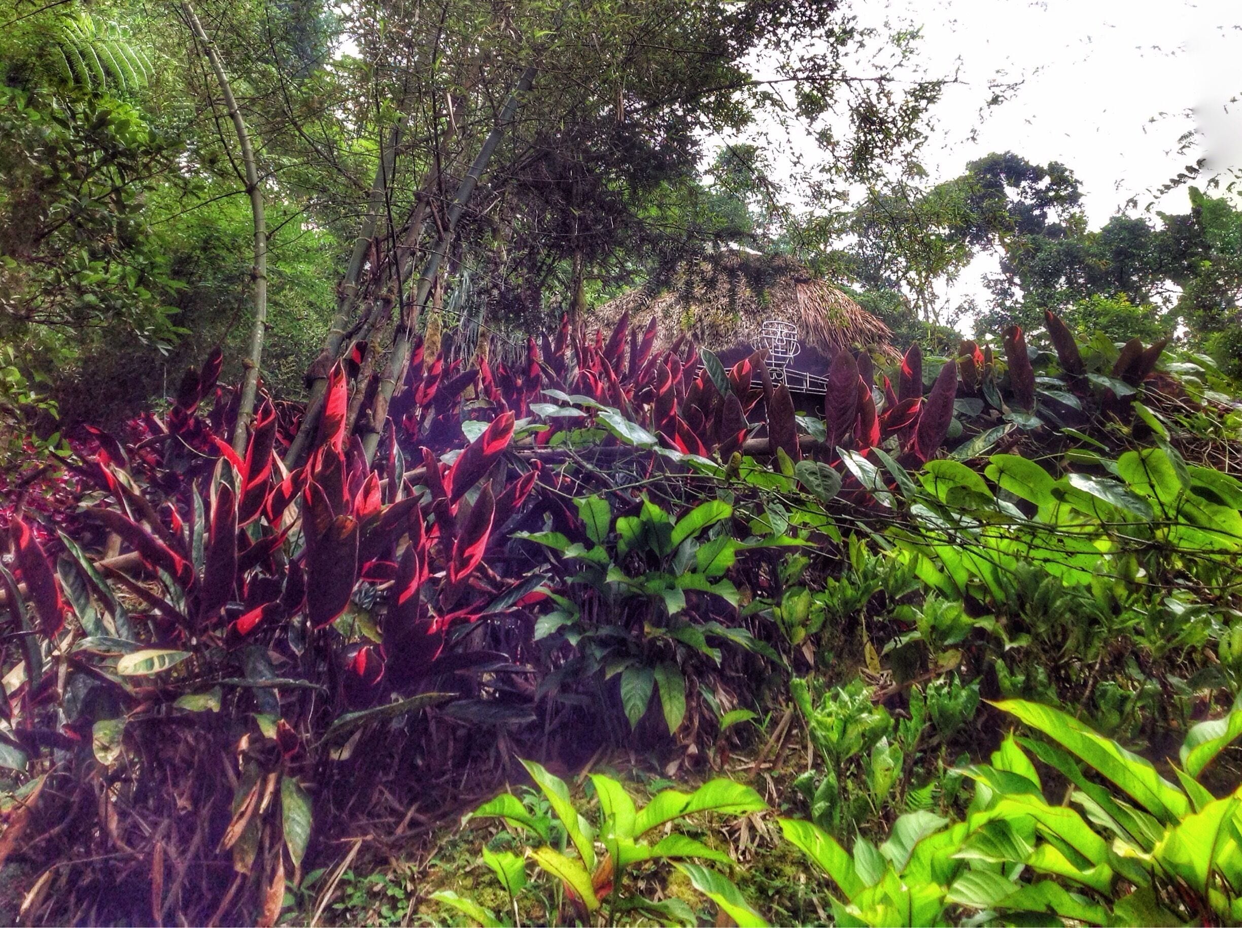 This Village is a reflection of what is like in old villages in Baguio