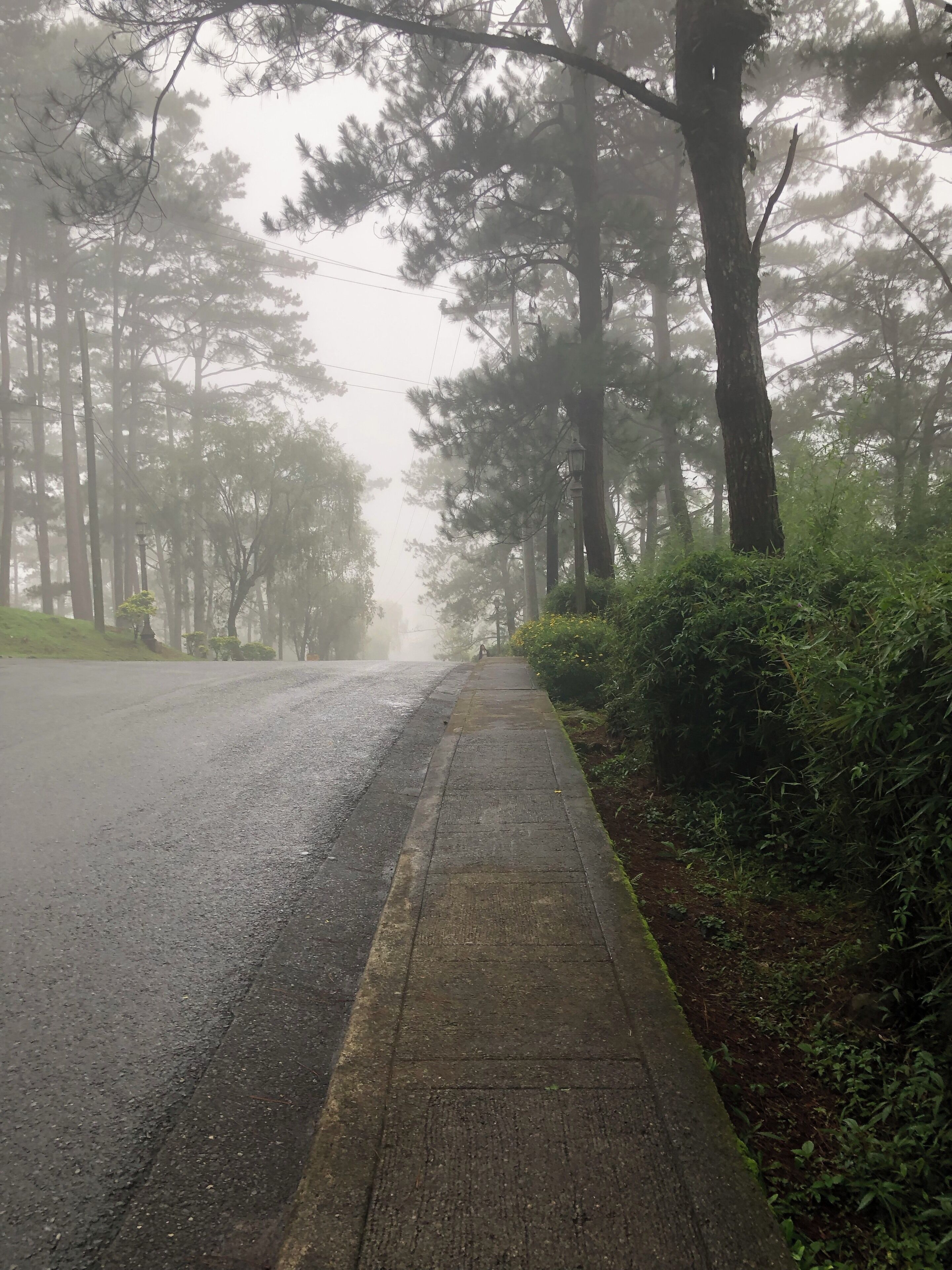 Summer time in Baguio 😊