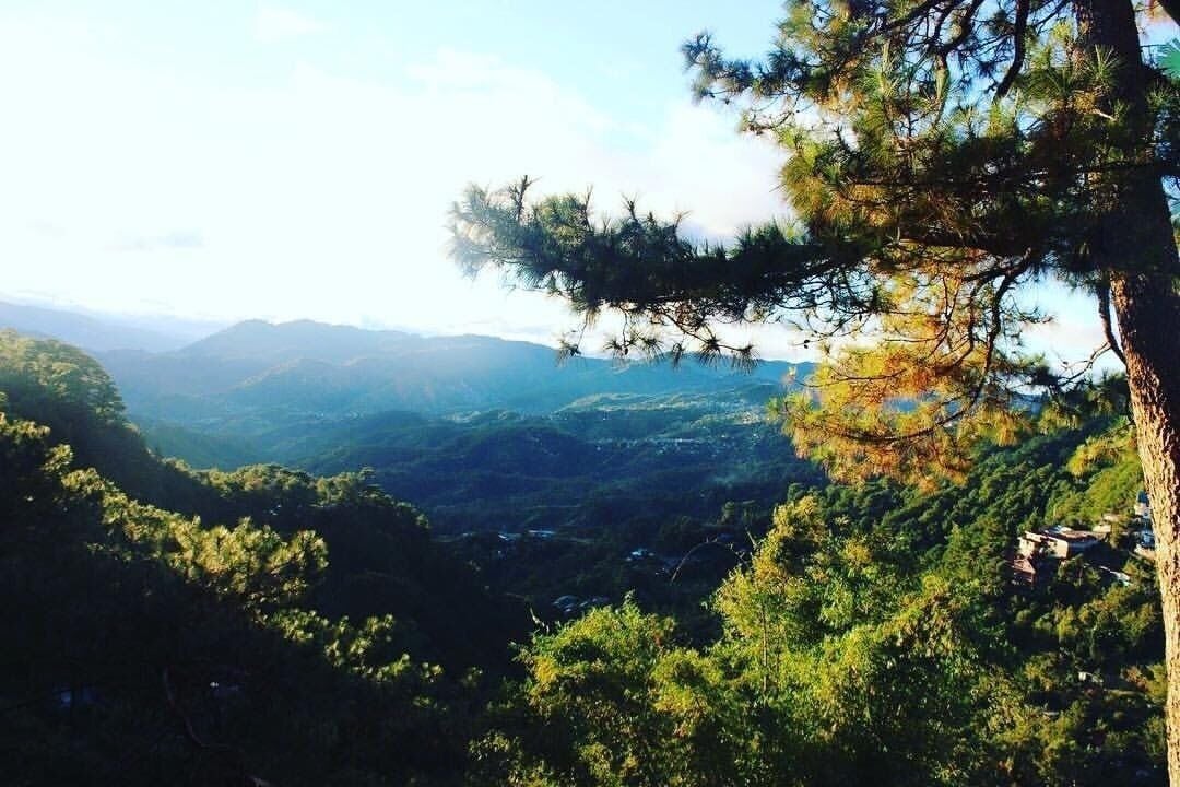 Been to Baguio for the second time... And again, it was hella wondrous ⛰
#baguio #nature #naturelover #naturebeauty #naturephotography #asia #philippines #youngadventuress #travelblogger #travelblog #travelphotography 