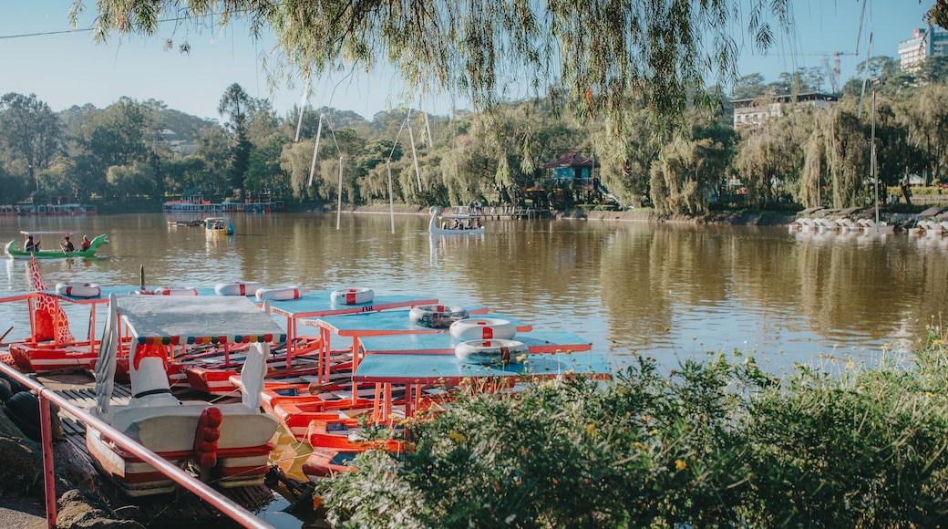 Colorful Rowboats Docked at Burnham Park Lake in Baguio City, Philippines
