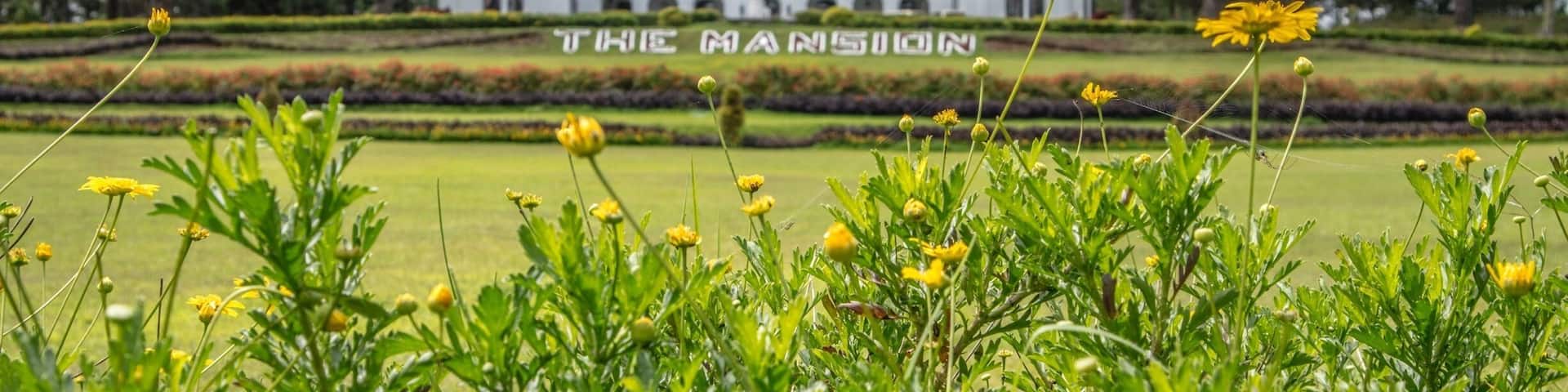 President's Palace 🏛