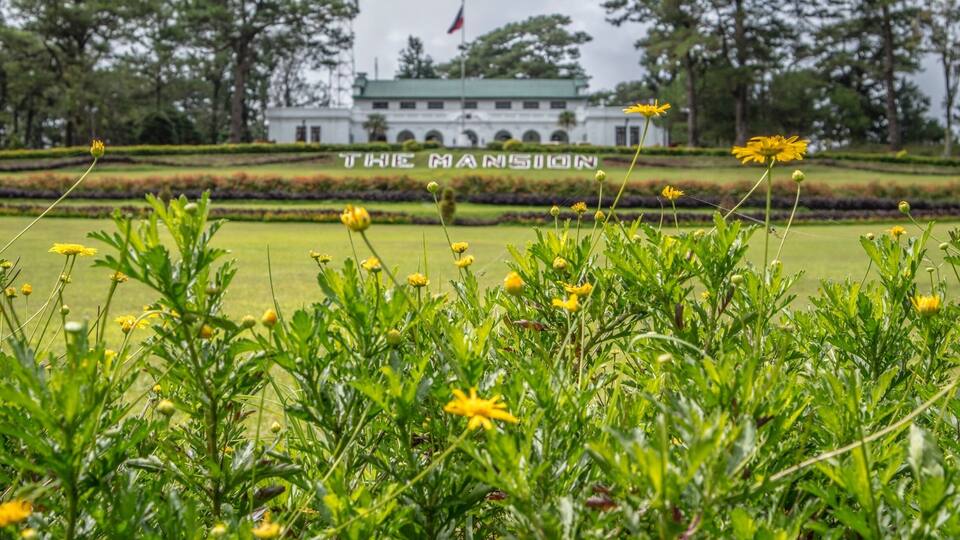 A garden with yellow flowers in the foreground and a building labeled "THE MANSION" in the background.