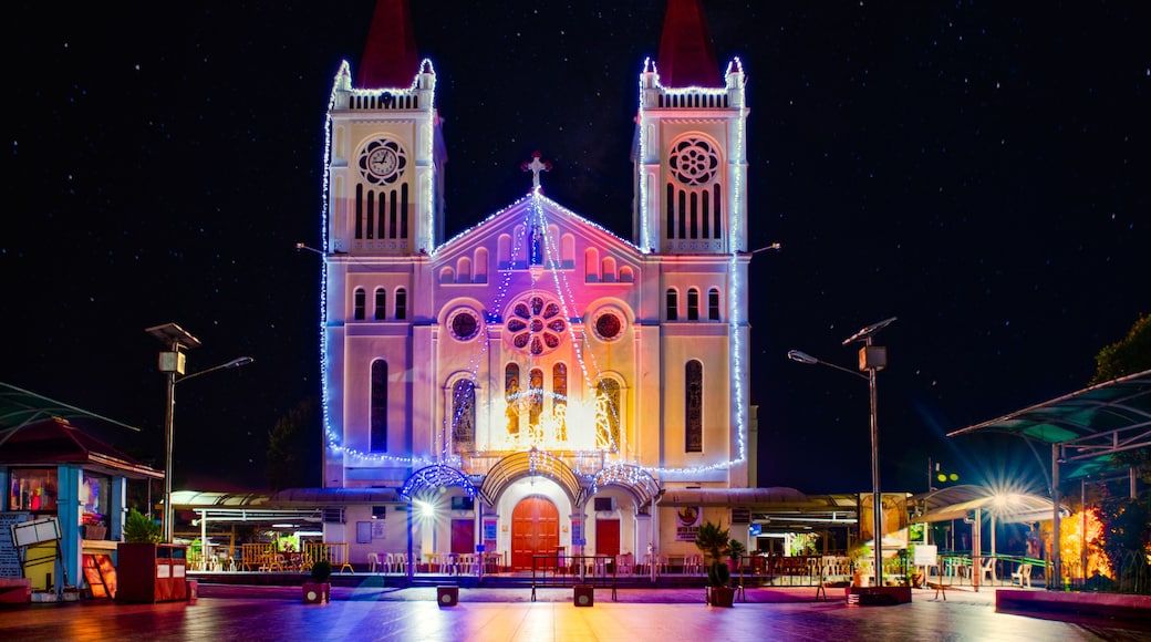 Baguio Cathedral at night under the starts