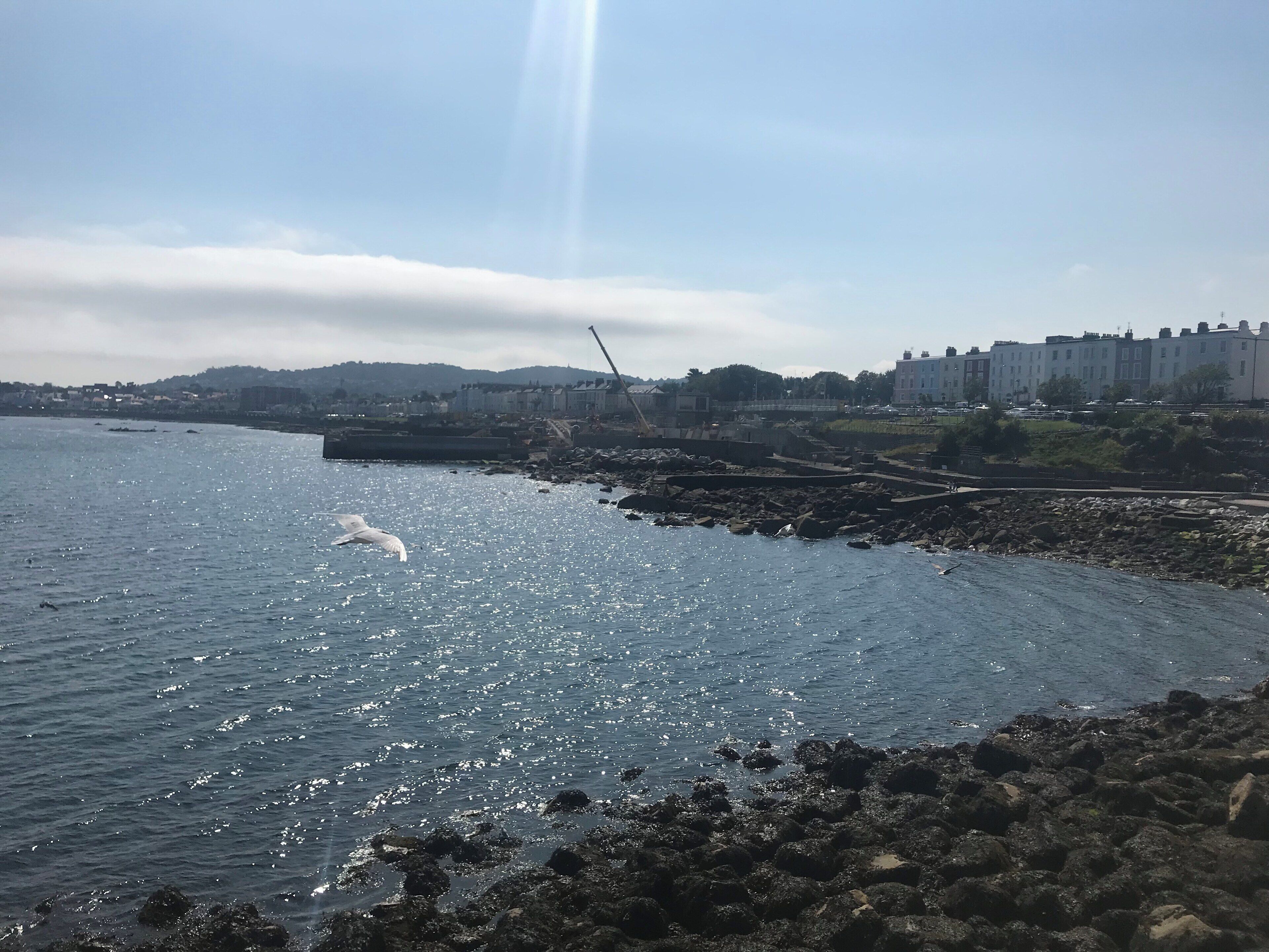 Stunning walk down the East Pier in Dun Laoghaire #Seagulls #Dublin #LifeAtExpedia #NoFilter
