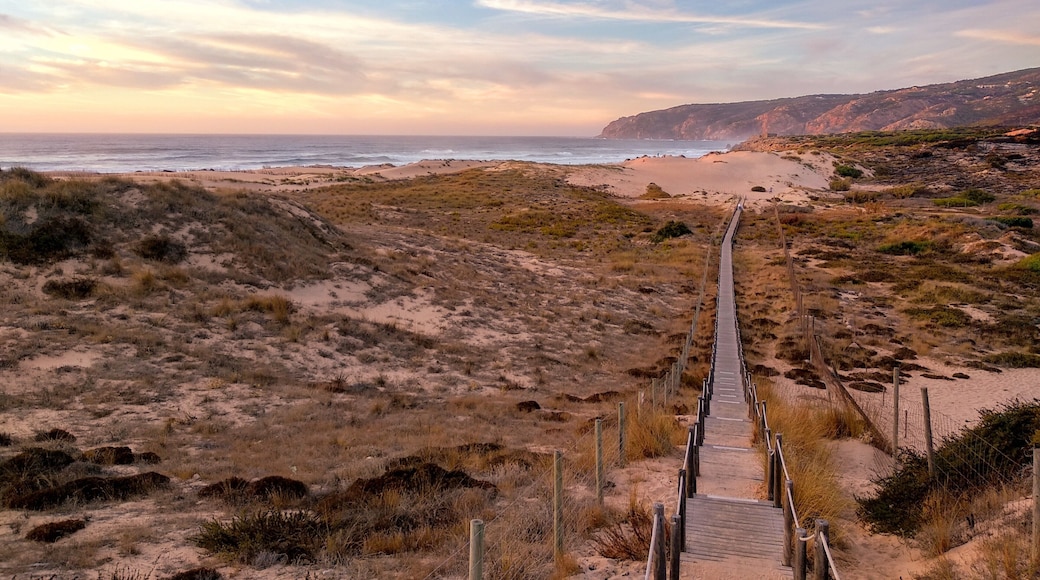 Sand dunes of Praia do Guincho
