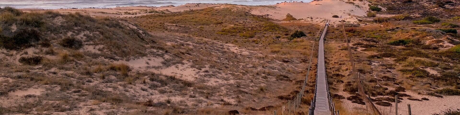 A coastal landscape with a wooden boardwalk leading to a beach, surrounded by dunes and cliffs.