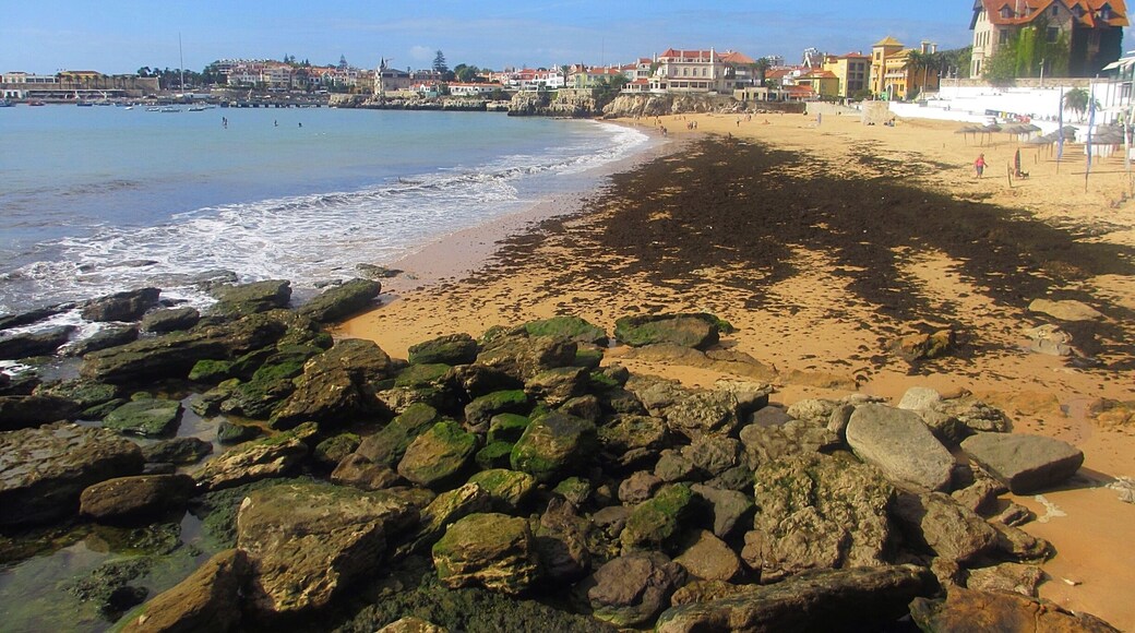 Taken at the beach close to the train station. This is an easy day-trip from Lisbon. Spent a nice day here wandering the streets, shopping and eating seafood.
#portugal #cascais #nature #outdoors #beach
https://www.tripadvisor.com/Tourism-g189154-Cascais_Lisbon_District_Central_Portugal-Vacations.html