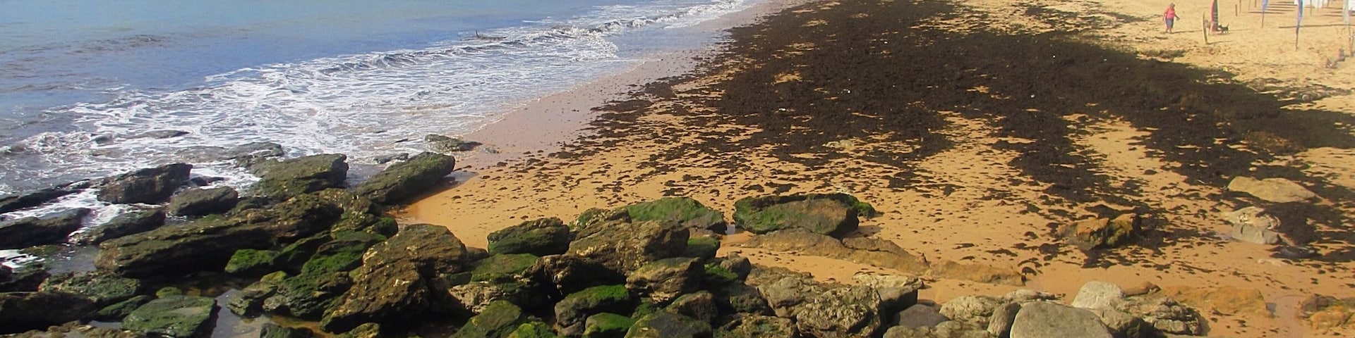 A rocky beach with waves, a sandy shore, and buildings in the background.