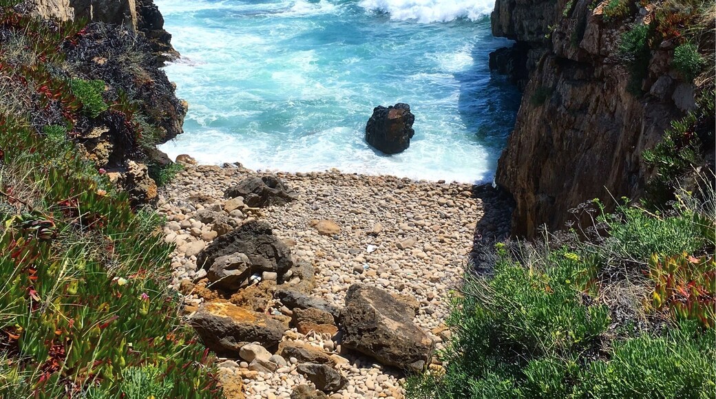 "Do you want to marry me??" Yessss! Best moment of my life i had at this beautiful place. Romantic atmosphere.