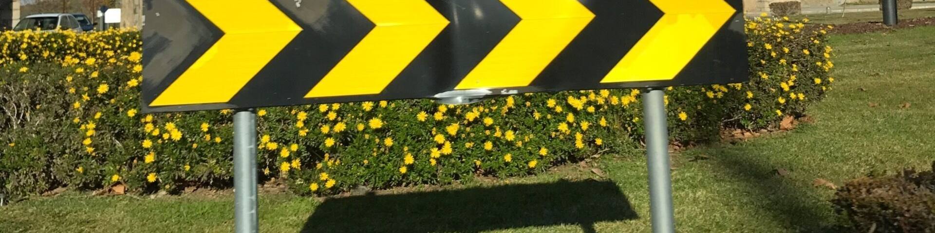 One of the coolest I seen