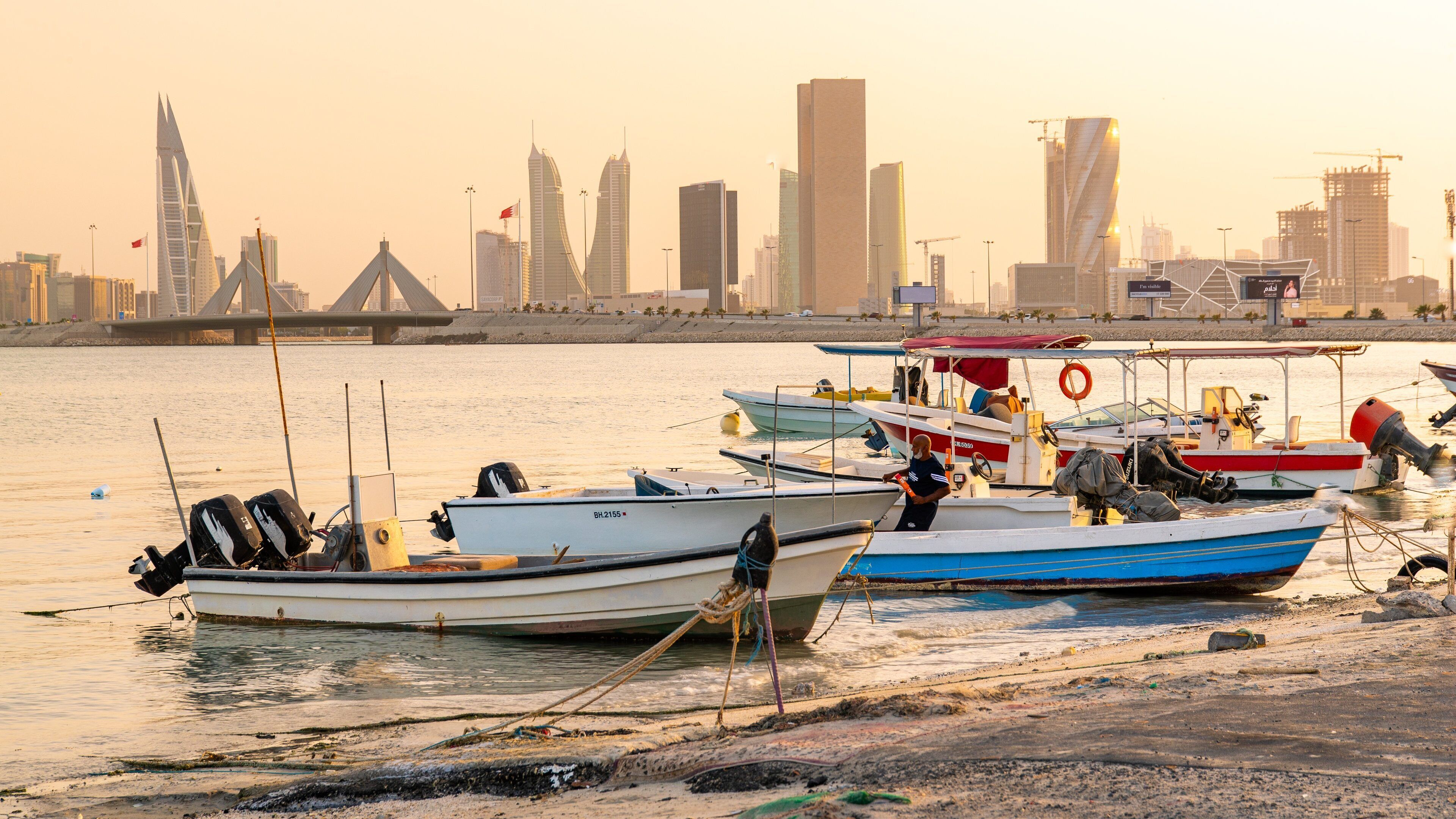 Boats docked at a harbor with a city skyline in the background.