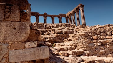 0_7c2b0598-3569-4ec2-aec6-ea4119889702_raw