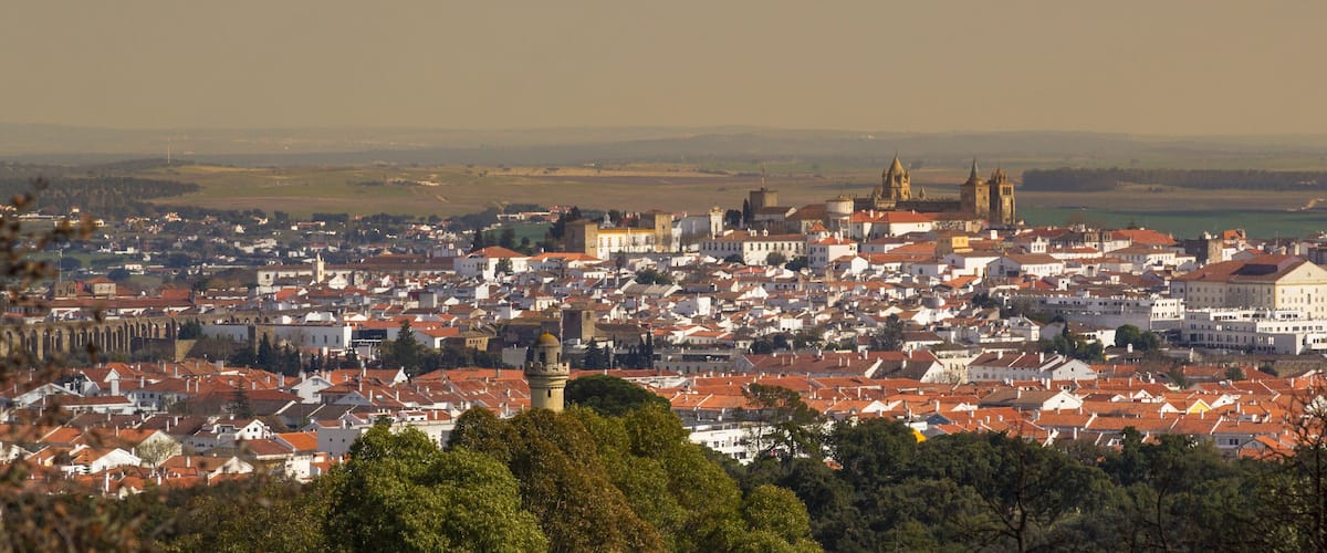 A cityscape with a prominent cathedral, a river, and surrounding greenery.