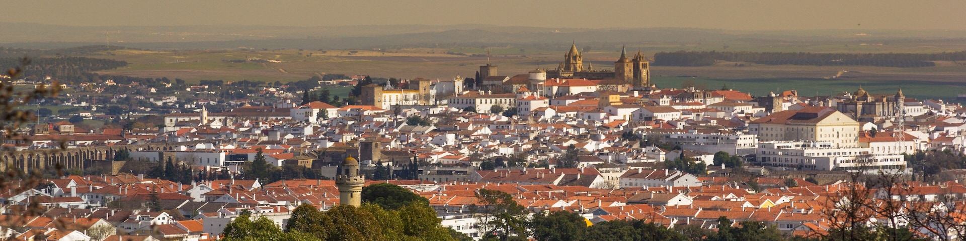 A cityscape with a prominent cathedral, a river, and surrounding greenery.