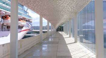 Leixoes cruise terminal, which serves Porto. Viewed to the left is P&O Azura. The terminal building is cladded with honeycomb style tiles.