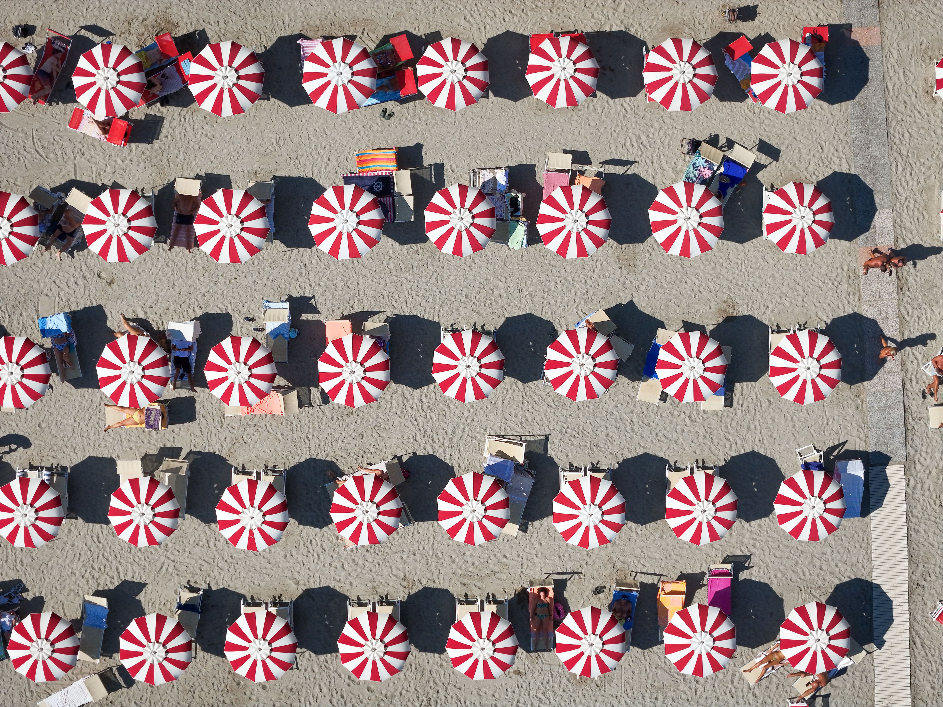 Aerial view of rows of red and white striped beach umbrellas and sun loungers on the sandy beach in Bergeggi, Liguria, Italy.
